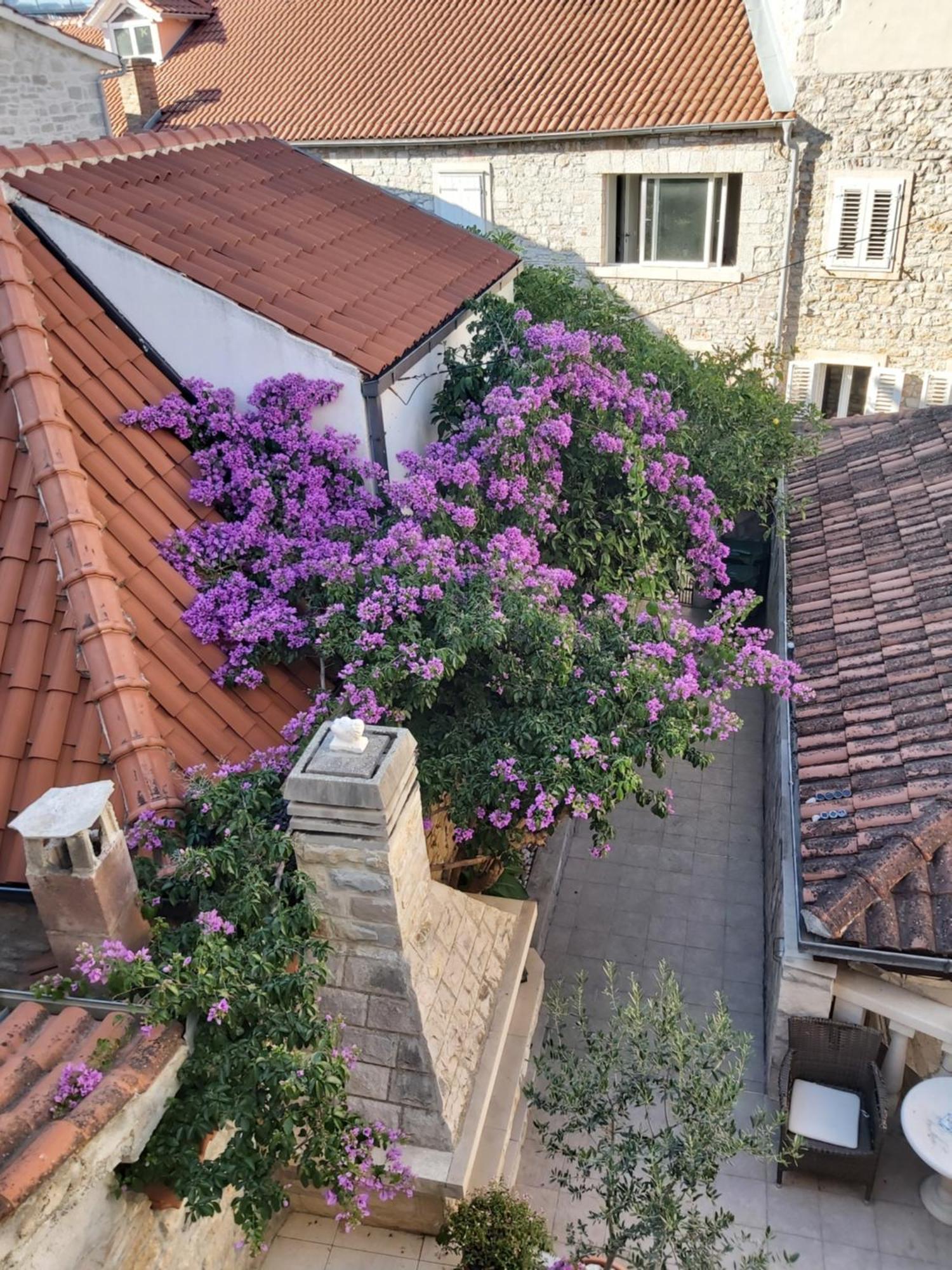 Apartmán Vila Dora Supetar Pokoj fotografie